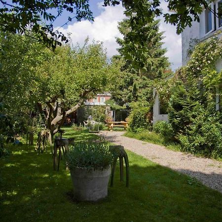 Achter Het Witte Huis Utrecht Kültér fotó
